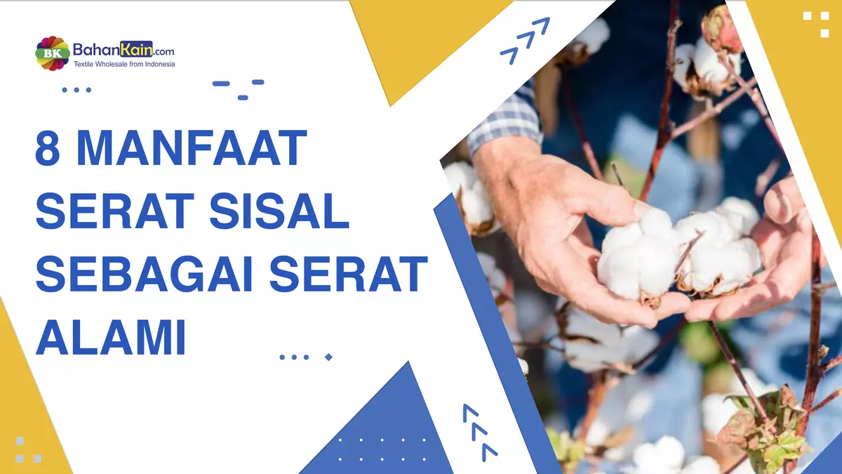 8 MANFAAT SERAT SISAL SEBAGAI SERAT ALAMI