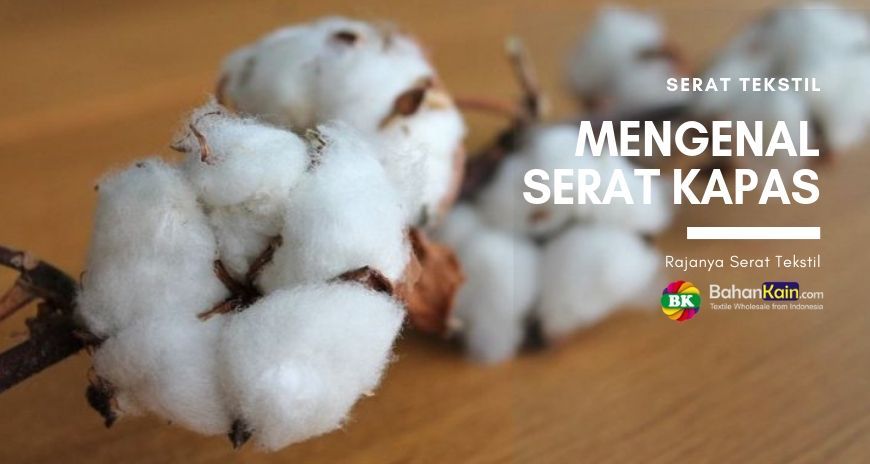 Mengenal Serat Kapas Raja Serat Tekstil Bahankain Com