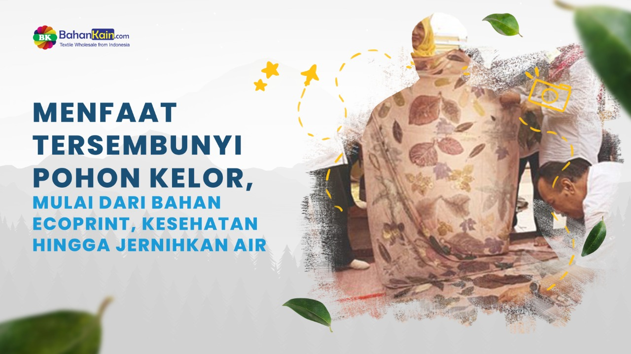 Menfaat Tersembunyi Daun Kelor, Mulai Dari Bahan Ecoprint, Kesehatan Hingga Jernihkan Air