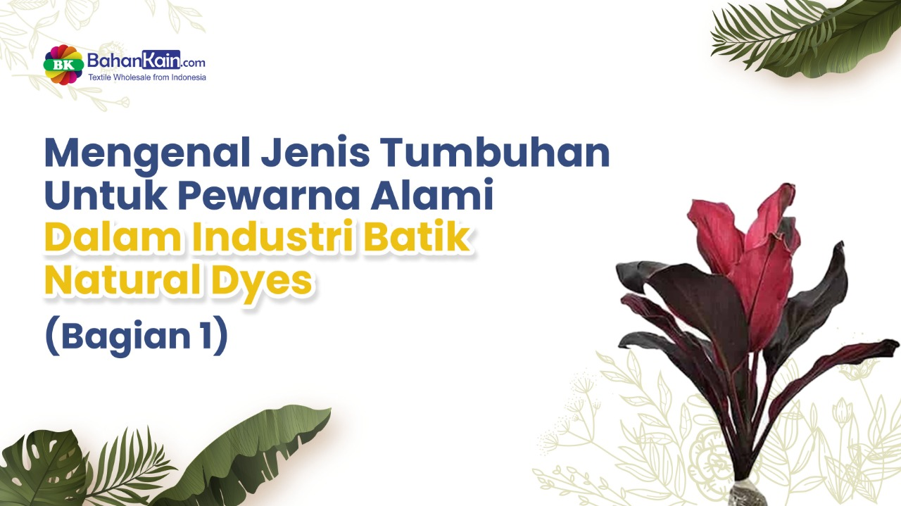 Mengenal Jenis Tumbuhan Untuk Pewarna Alami Dalam Industri Batik Natural Dyes (Bagian 1)