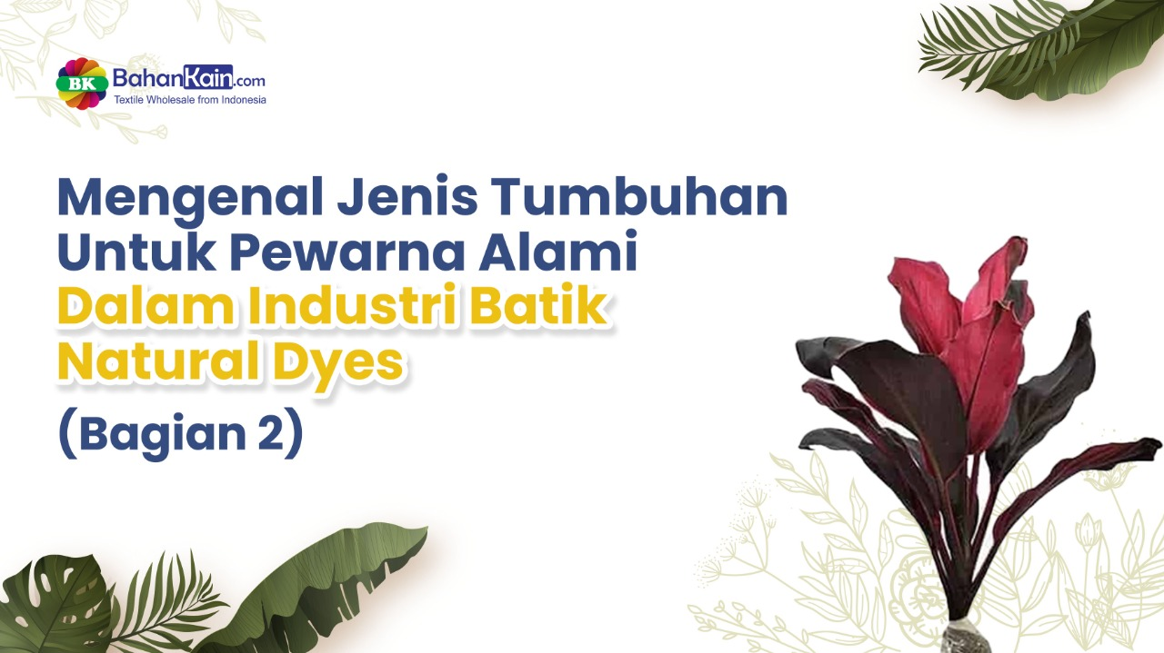 Mengenal Jenis Tumbuhan Untuk Pewarna Alami Dalam Industri Batik  Natural Dyes (Bagian 2)
