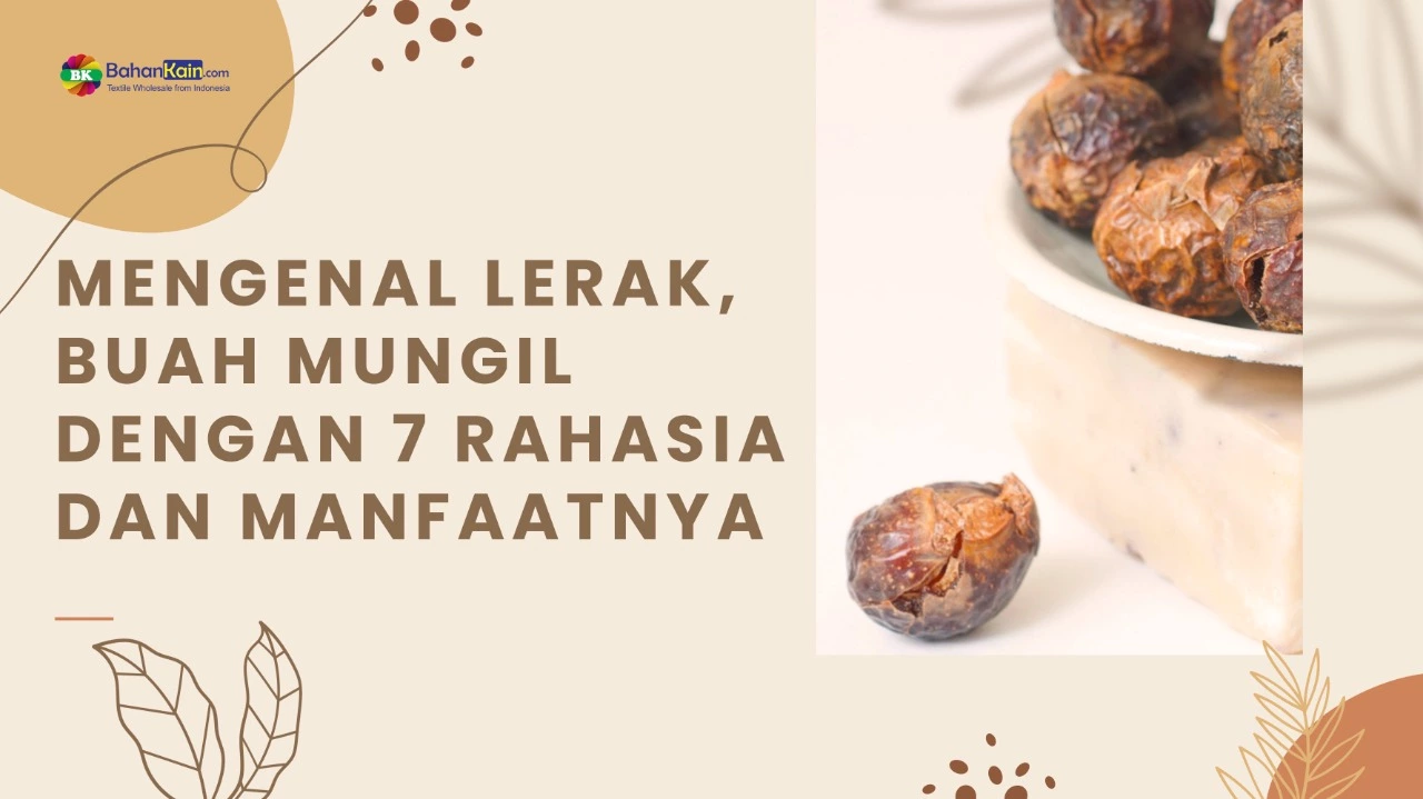 Mengenal Lerak, Buah Mungil Dengan 7 Rahasia Dan Manfaatnya