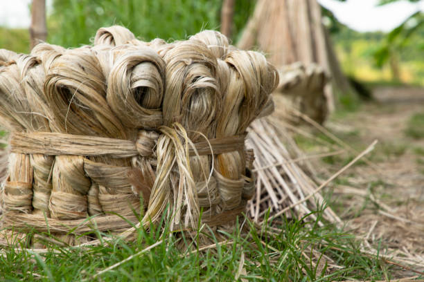 Mengenal Serat Jute, Tekstil Yang Tangguh dan Ramah Lingkungan