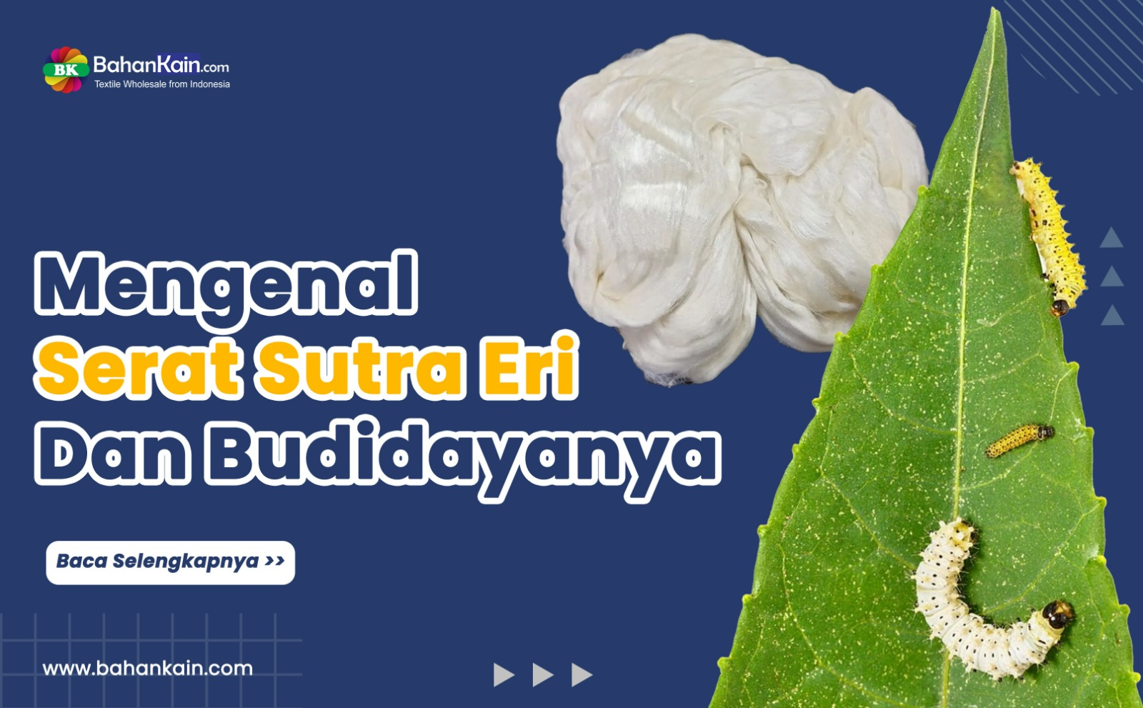 Mengenal Serat Sutra Eri Dan Budidayanya