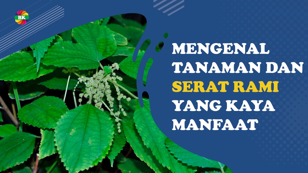 Tanaman Rami: Manfaat Serbaguna untuk Kesehatan, Industri, dan Lingkungan