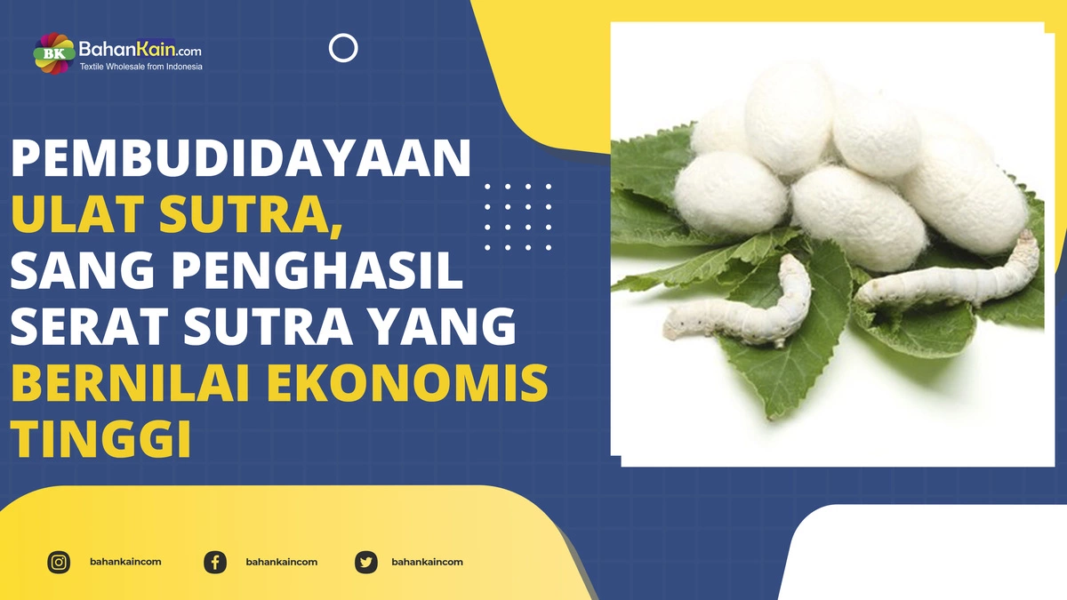 PEMBUDIDAYAAN ULAT SUTRA SANG PENGHASIL SERAT SUTRA YANG BERNILAI EKONOMIS TINGGI