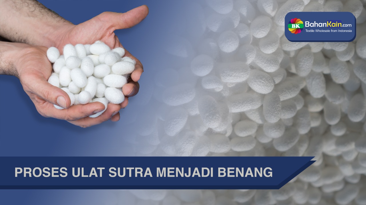 PROSES ULAT SUTRA MENJADI BENANG