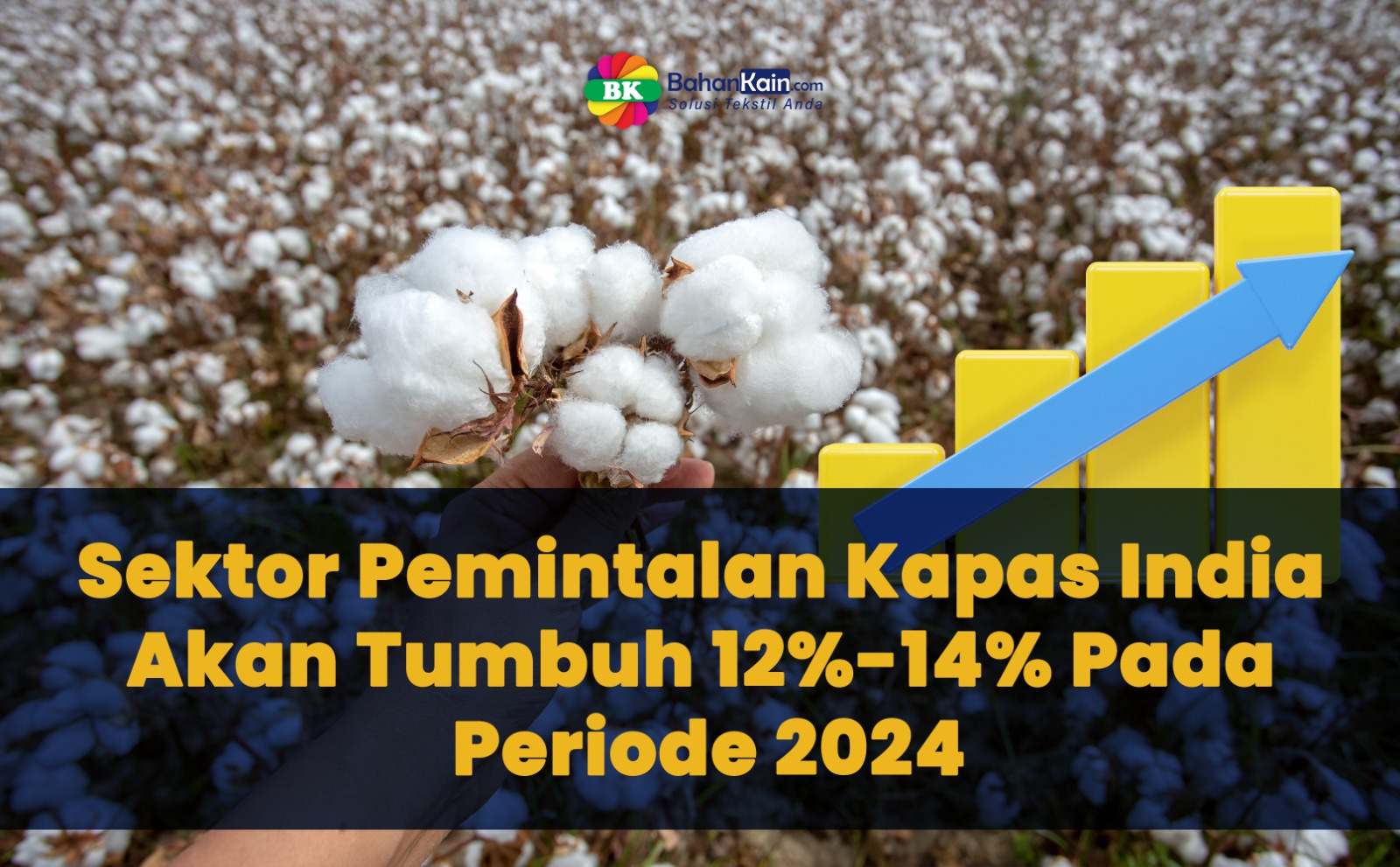 Sektor Pemintalan Kapas India Akan Tumbuh 12%-14% Pada Periode 2024