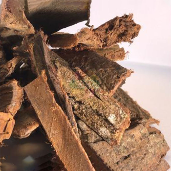 Pewarna Alami Kulit Mahoni