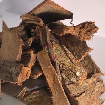 Pewarna Alami Kulit Mahoni