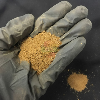 Pewarna Alami Manggis Bubuk 